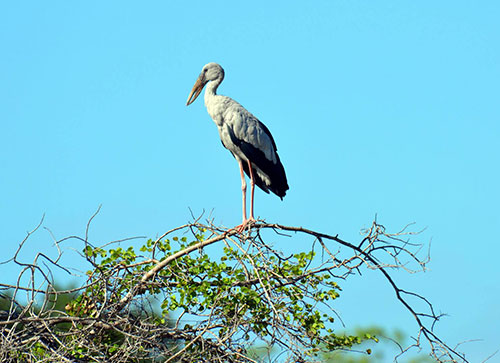 Sri-Lanka-Tourism-Agency