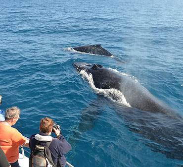 Sri-Lanka-Tourism-Places