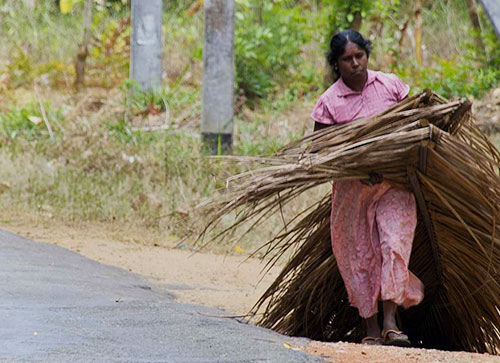 Sri-Lanka-Tourism-Places