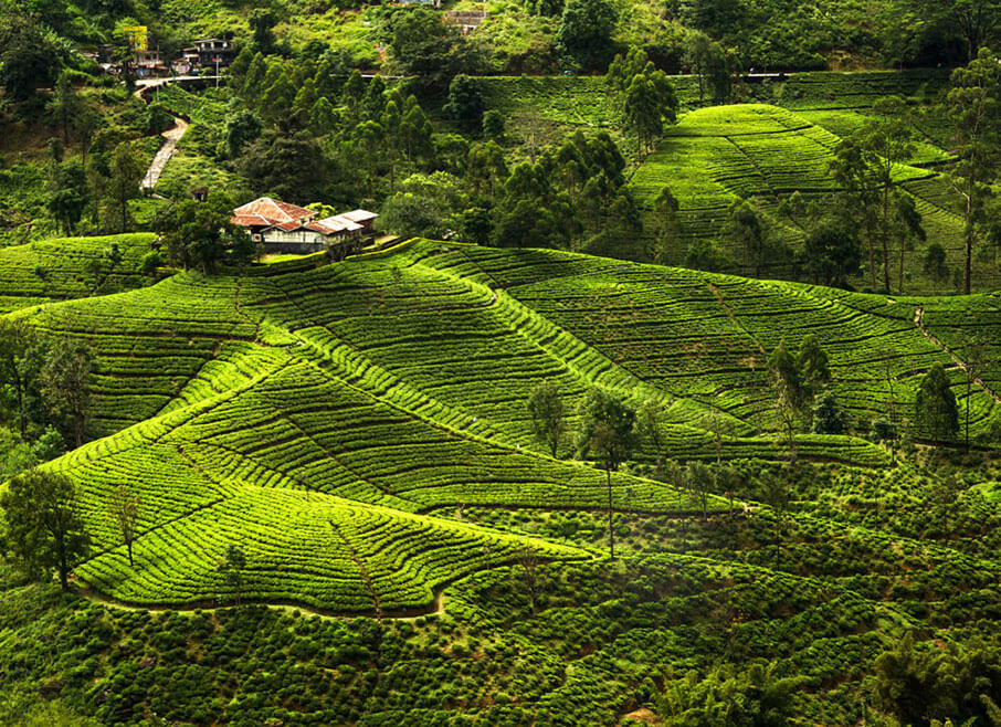 Sri-Lanka-Tourism-Agency