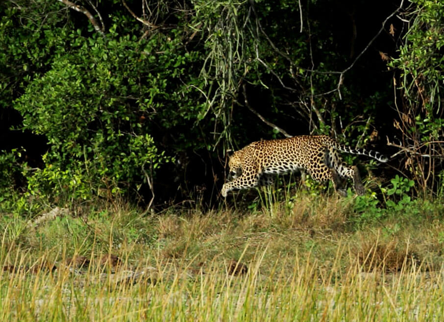 Sri-Lanka-Tourism-Places