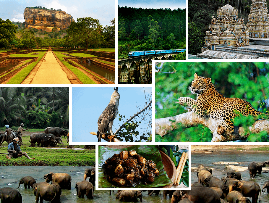Sri-Lanka-Tourism