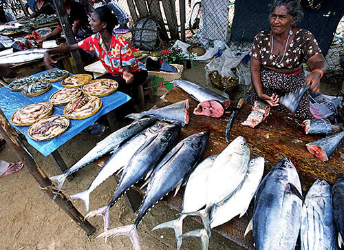 Sri-Lanka-Tourism-Places