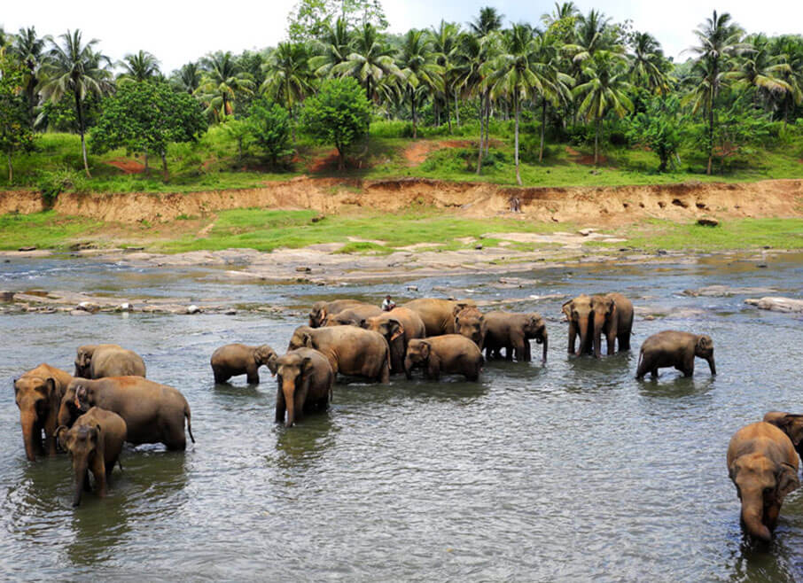 Sri-Lanka-Tourism-Places