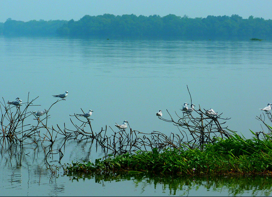 Luxury-Tours-Sri-Lanka